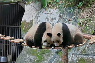 记者：徐新上午还在跟随海港队冬训，下午就启程奔赴阿联酋